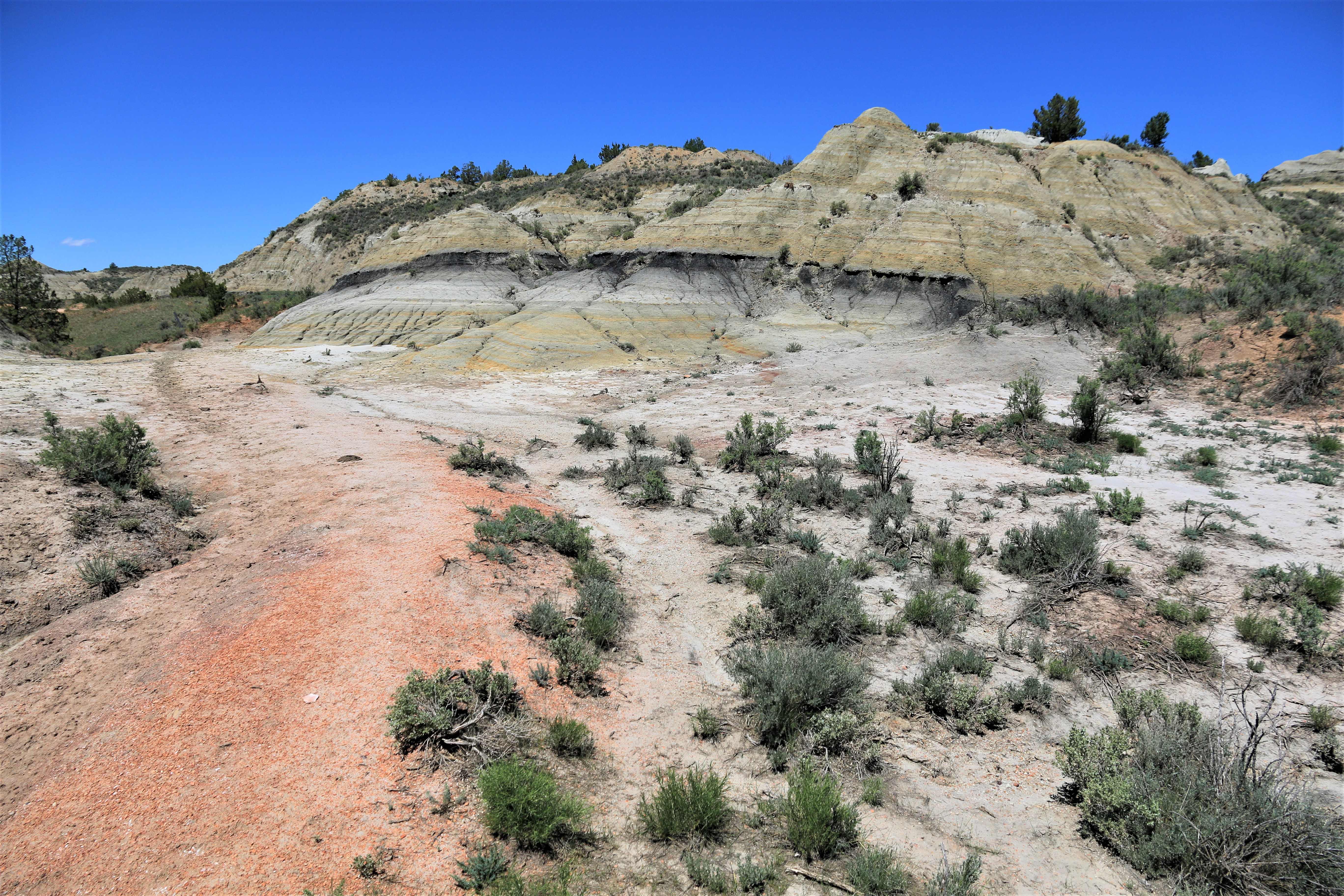 Theodore Roosevelt NP